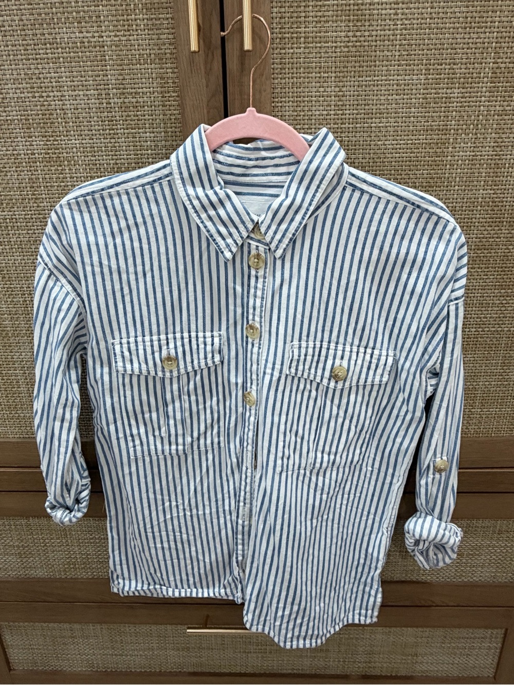 American Eagle Outfitters Blue and White Striped Button-Down Shirt